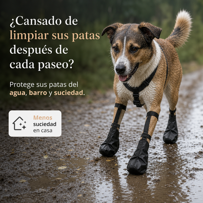 Botas Impermeables para Perros